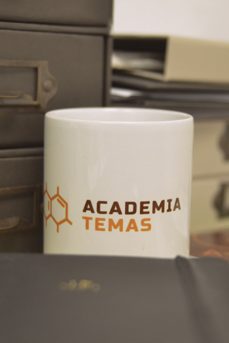 Academia Temas refuerzo en Bachillerato